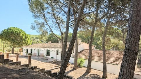 En venta singular finca rústica en la falda de Onil a tan solo 40 km de Alicante., imagen 3