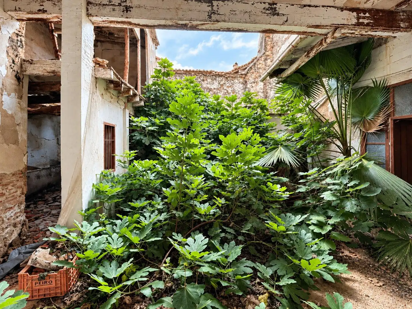 Jardín de Finca rústica en venta en La Pobla de Vallbona con Terraza
