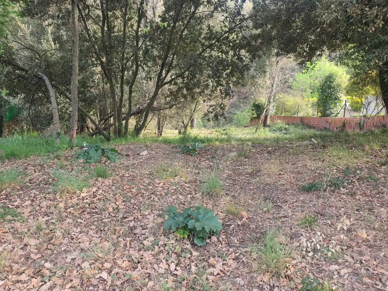 Terreno residencial en venta en Calle Cardener 14
