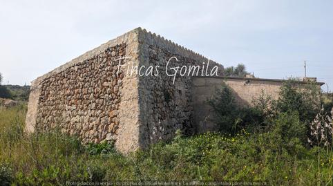 Photo 5 of Land for sale in Cami Des Pujol, Sant Lluís - S'Ullestrar - Torret, Illes Balears