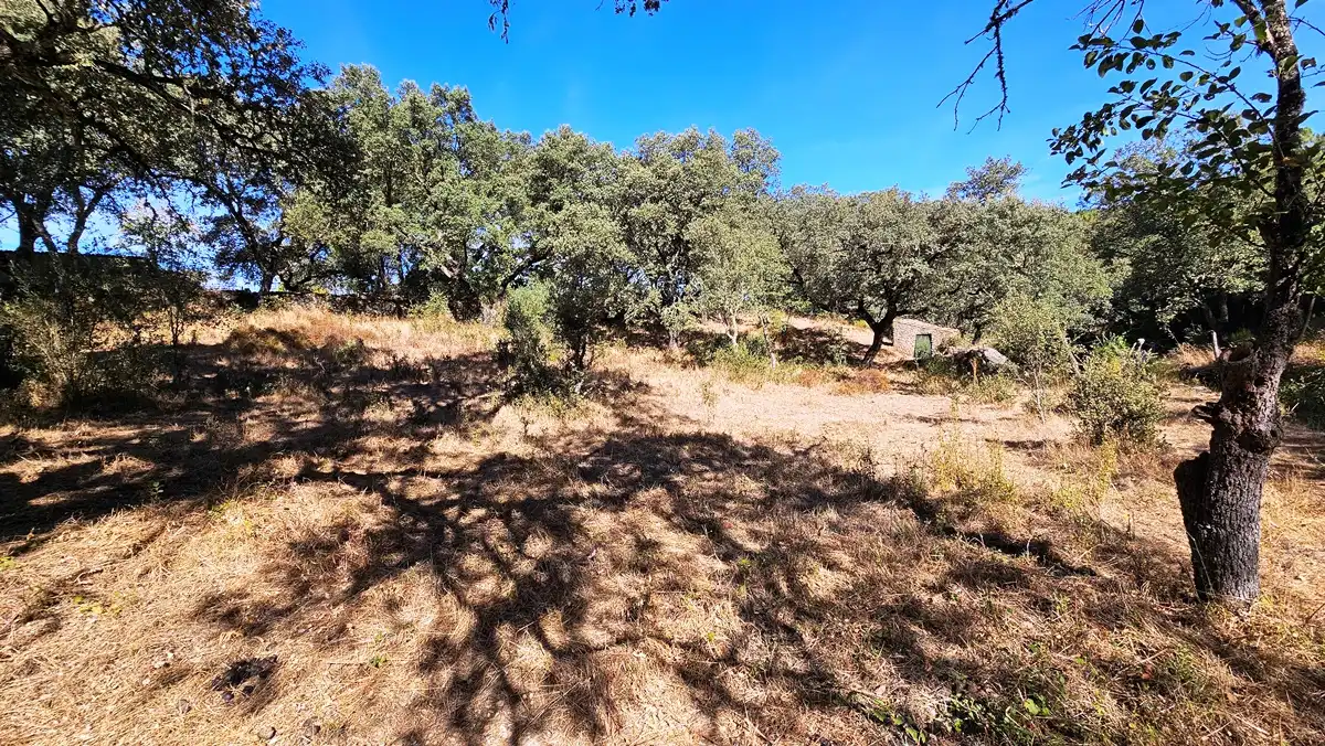 Terreno en venta en Los Marines