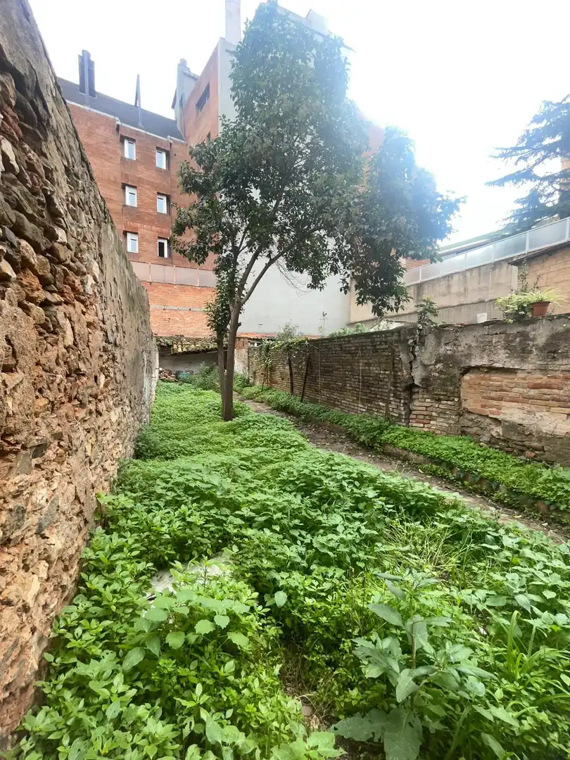 Vista exterior de Casa o xalet en venda en Sant Feliu de Llobregat amb Terrassa i Balcó