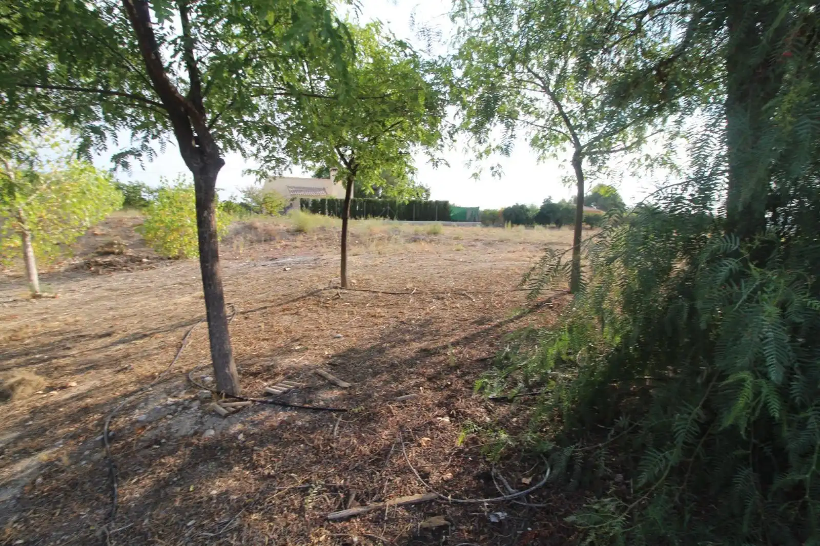 Casa o xalet en venda en Mula