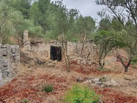 Maison à vendre à Benifallet, imagen 37