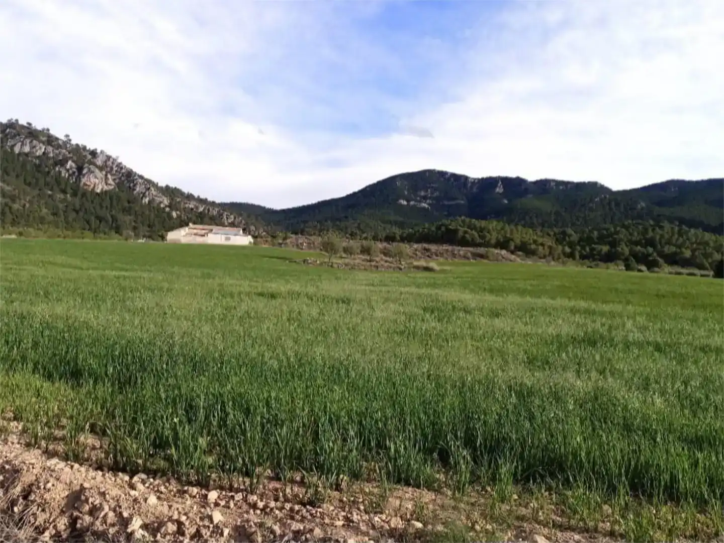 Piso en venta en Jumilla
