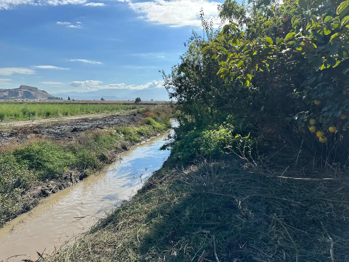 Finca rústica en venda en Fuente Vaqueros, Granada