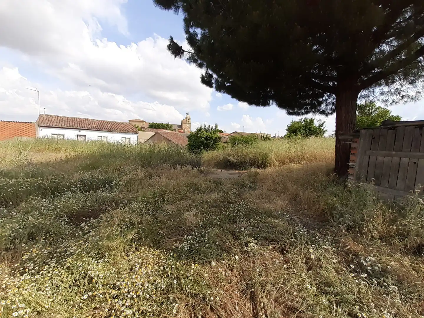 Casa o chalet en venta en Santa Clara de Avedillo