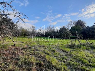 Terreno residenziale in vendita a Torre