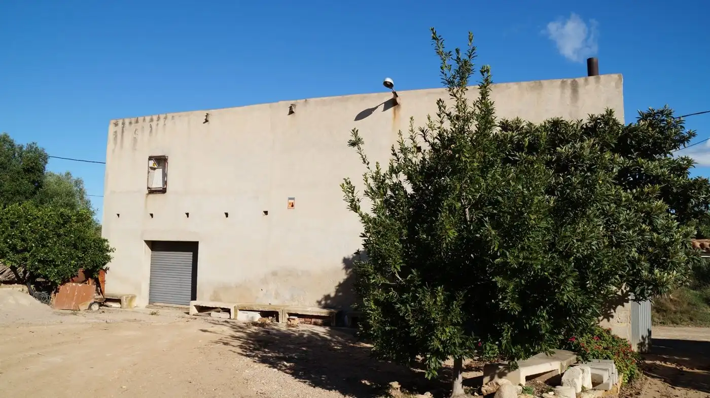Vista exterior de Finca rústica en venda en Constantí amb Jardí privat, Terrassa i Moblat