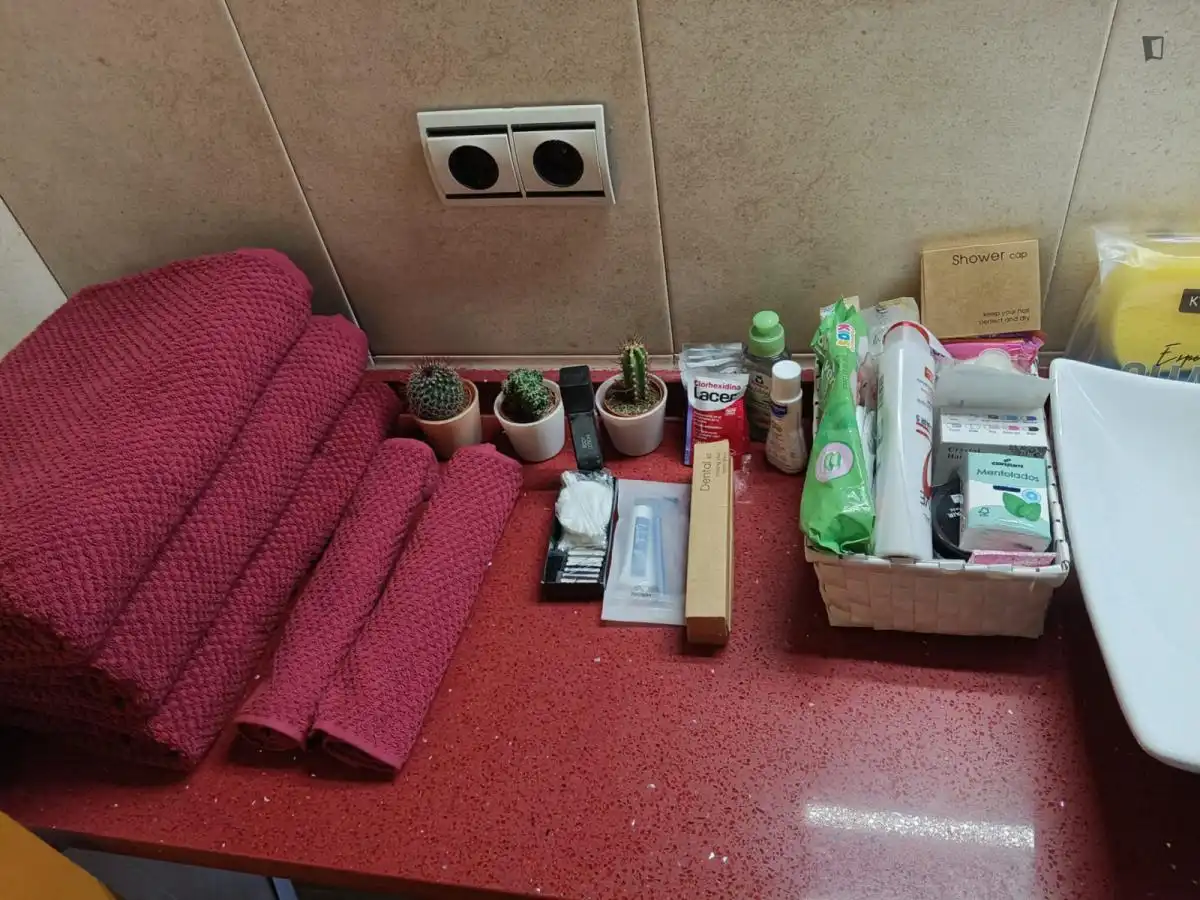 Baño de Apartamento de alquiler en Valencia con Aire acondicionado, Calefacción y Amueblado