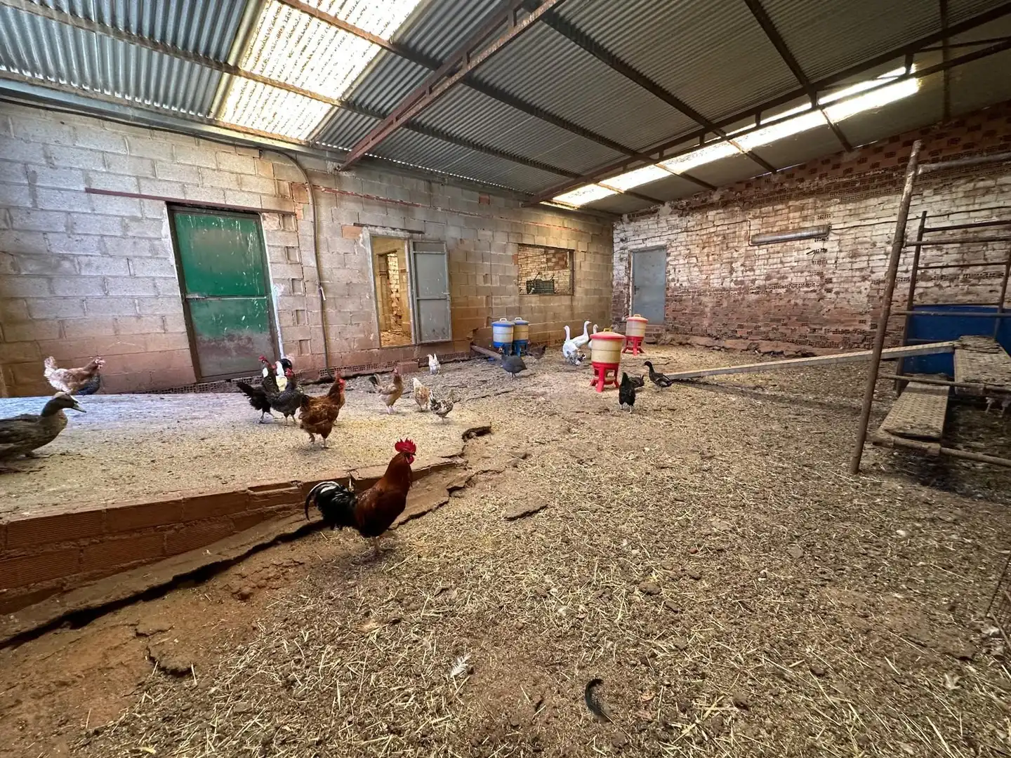 Rural land for sale in Carretera Valdepeñas-Ciudad Real, imagen 79