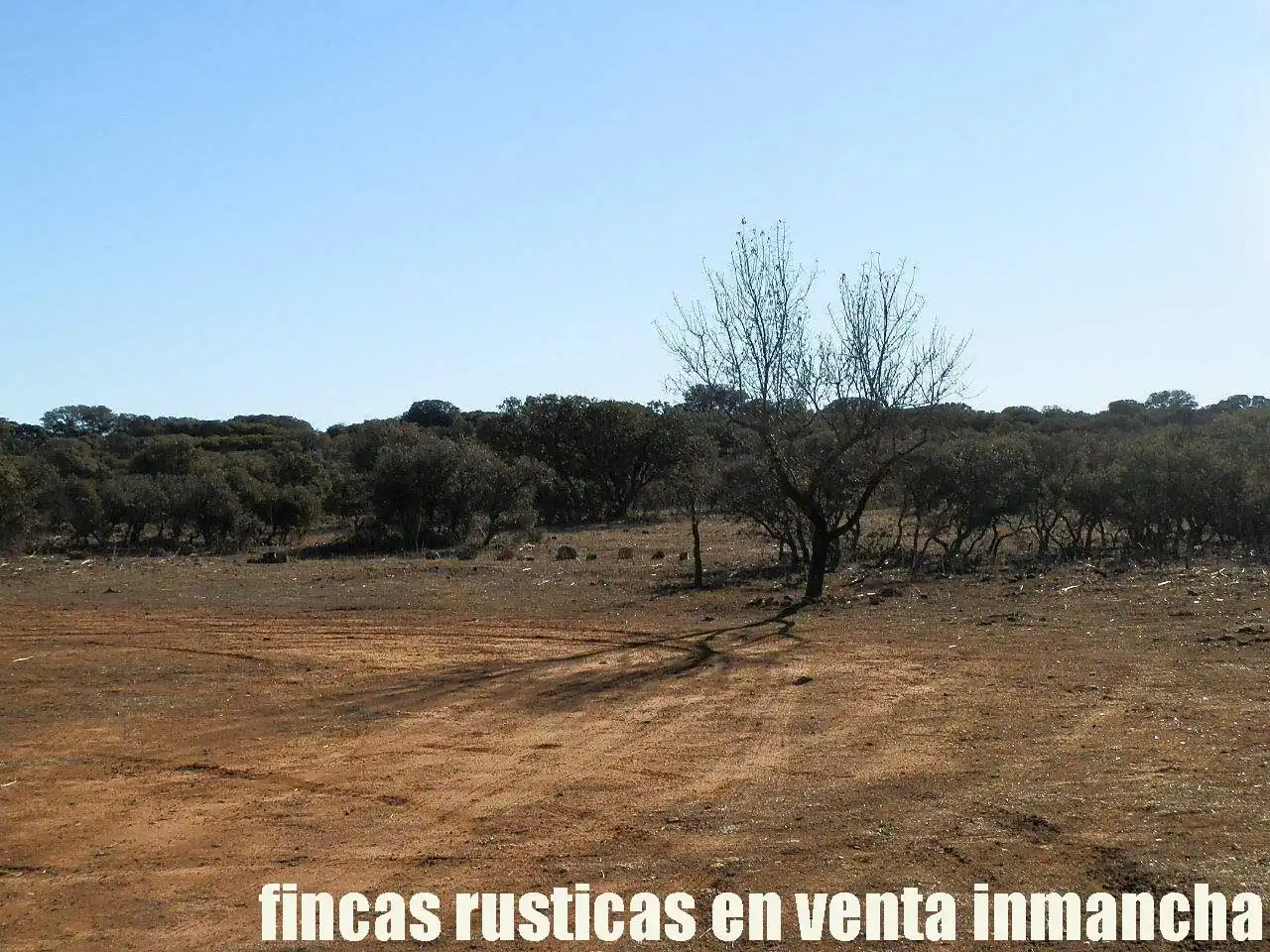 Terreni e lotti in vendita a Quintanar de la Orden, imagen 3
