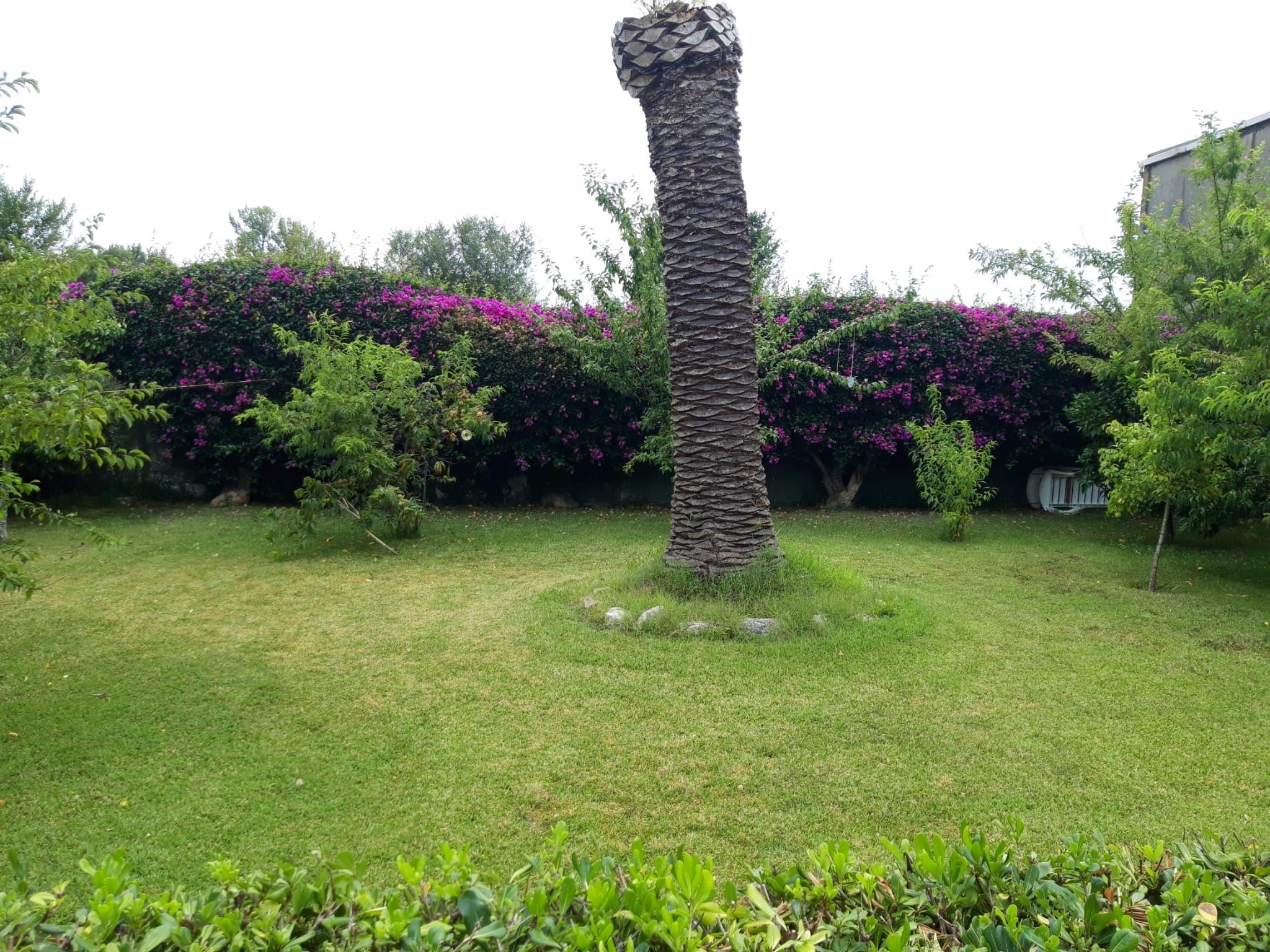 Garden of House or chalet for sale in Vigo   with Heating, Private garden and Parquet flooring