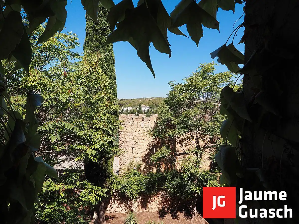 Maison avec jardin à vendre à La Móra, imagen 34