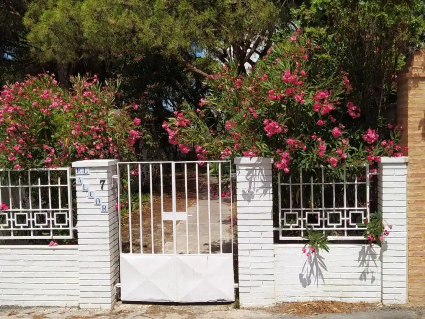 Fotografía del inmueble reportado: 1.750 €/mes — Punta Umbría, Punta Umbría