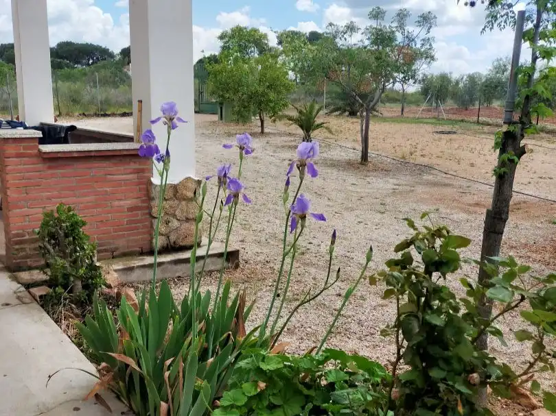 Chalet con jardín en venta en Castillejos 19, imagen 34