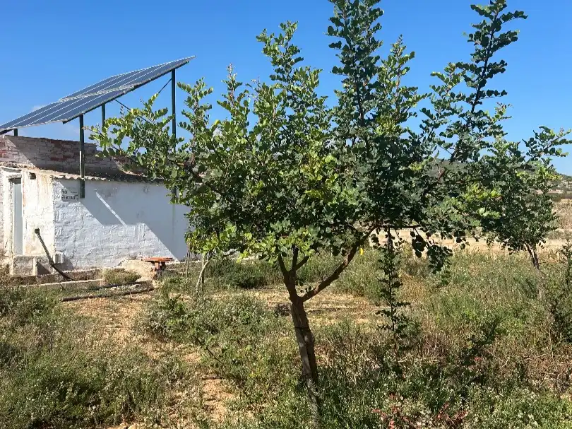 Terreny rústic en venda a N-340 2, imagen 6