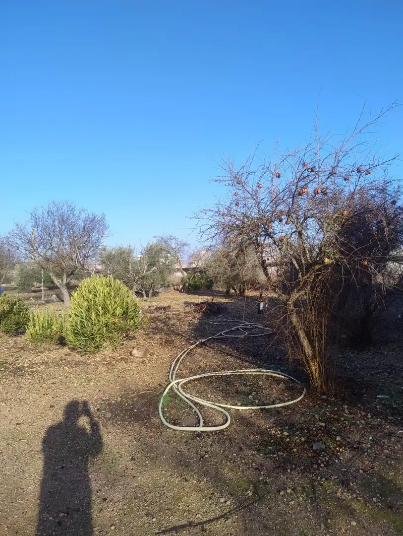 Casa o xalet en venda en Ciudad Real amb Traster
