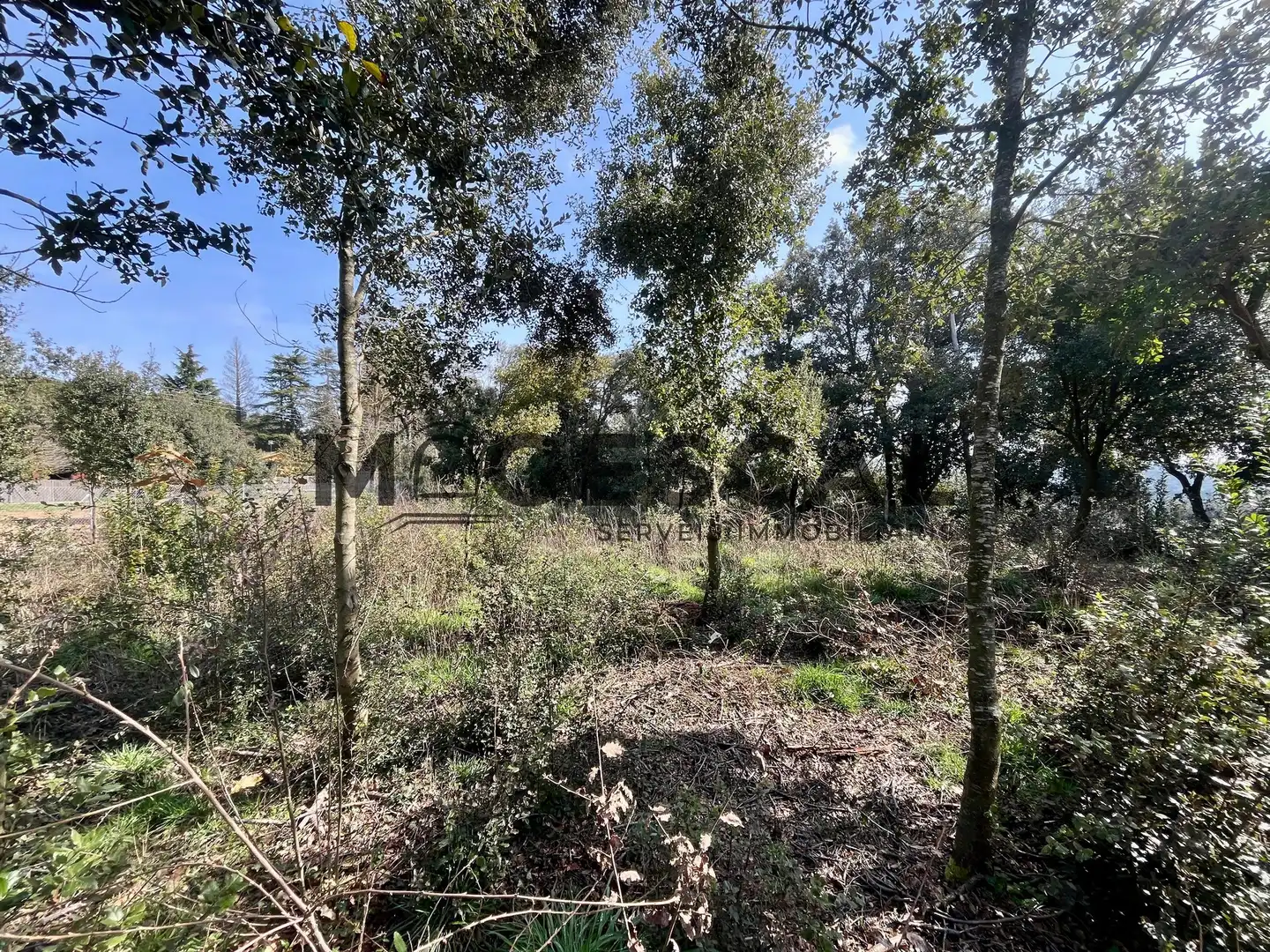 Terrenys i solars en venda a LLUIS BADO, imagen 19