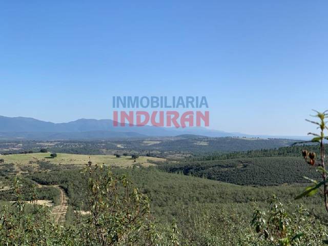 Finca rústica en Venta en Puerto de San Vicente