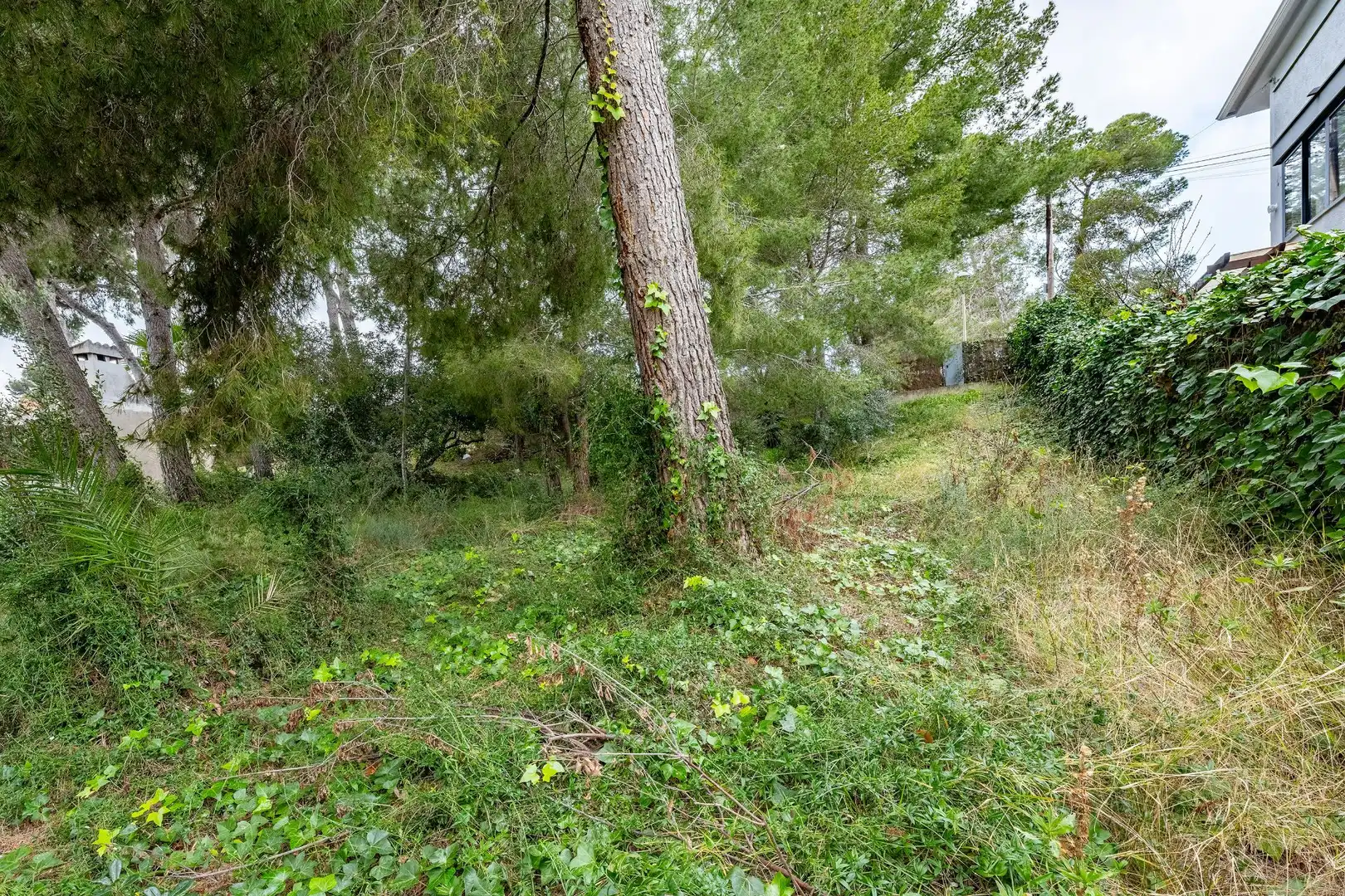 Terrenos y solares en venta en MEDITERRANEO, imagen 20