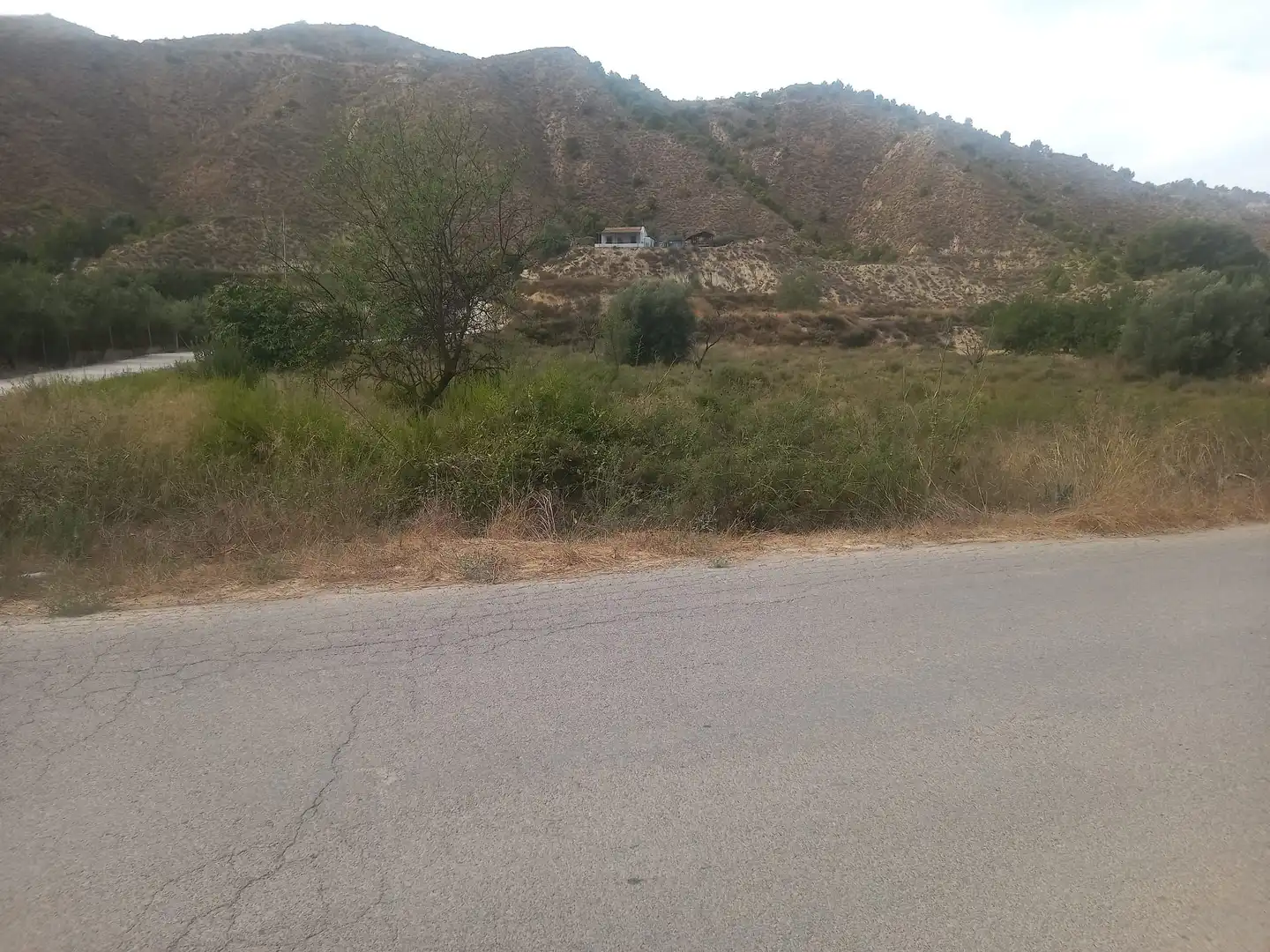 Terreny rústic en venda a Pedanías Este, imagen 2