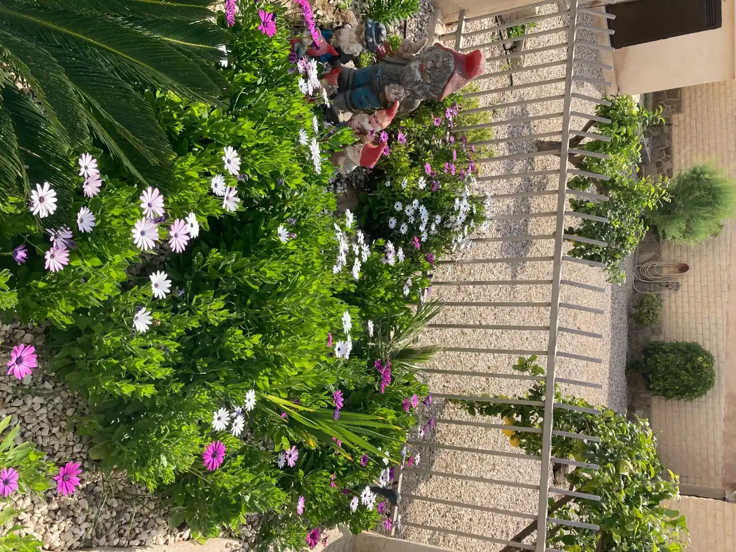 Jardín de Finca rústica en venta en Aspe con Aire acondicionado, Calefacción y Jardín privado
