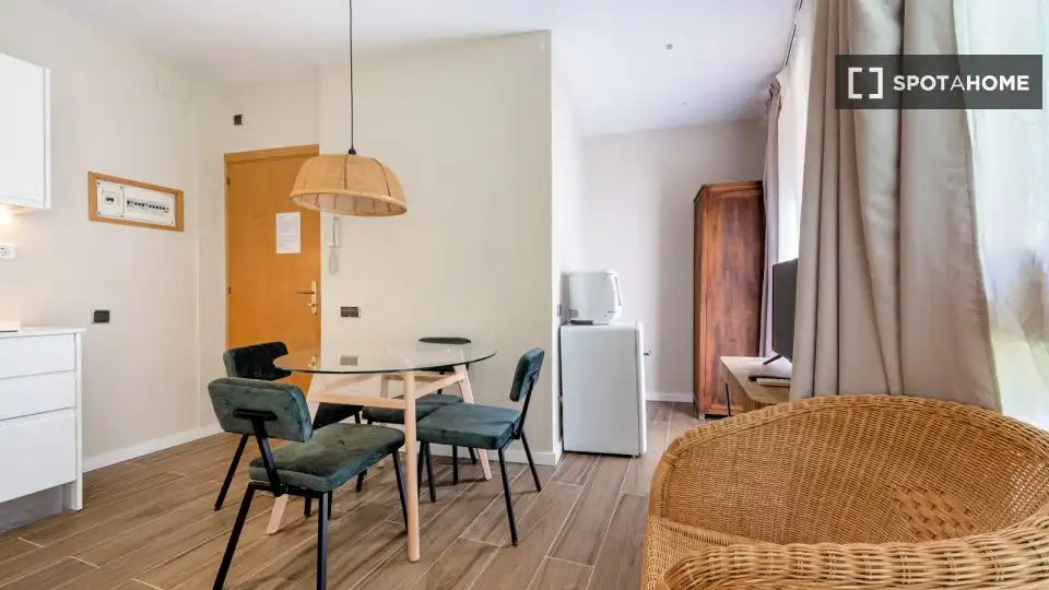 Appartamento con terrazza in affitto a Ciutat Vella, imagen 10