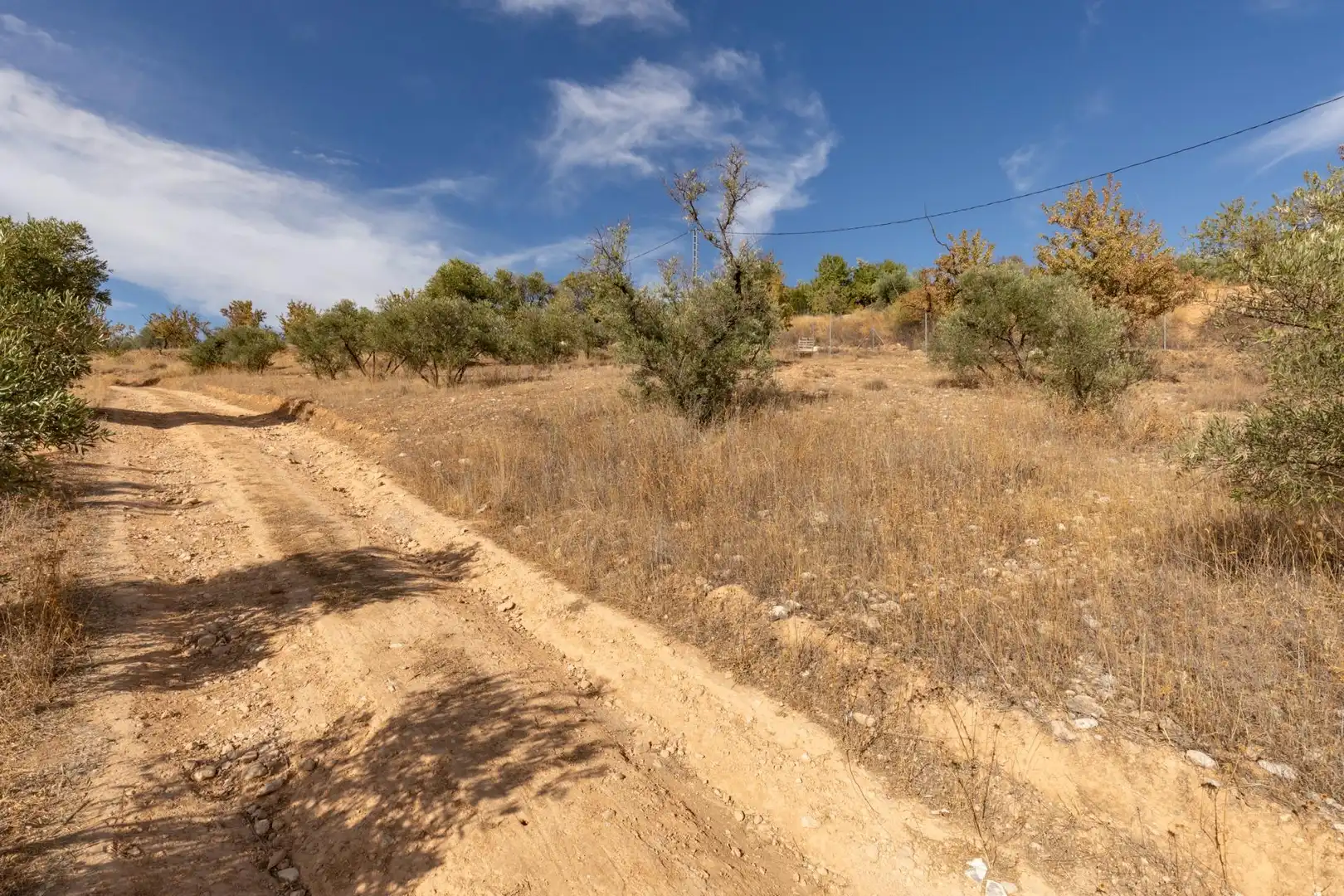 Finca rústica en venta en Cogollos de la Vega con Jardín privado y Piscina