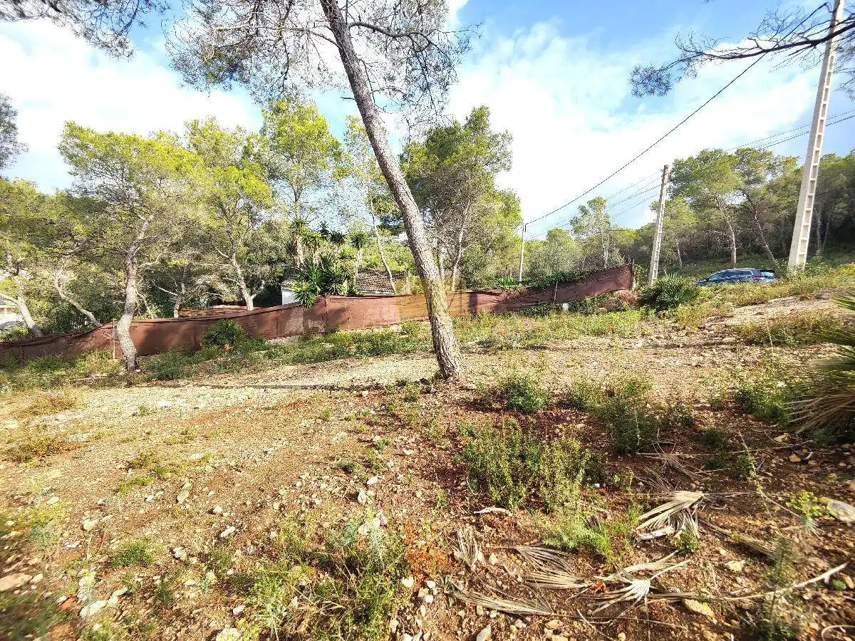 Terrenos y solares en venta en Canyelles, imagen 8