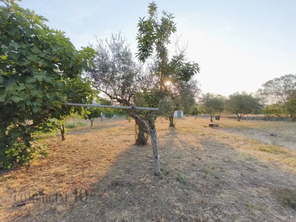 Terreni e lotti in vendita a Dehesilla de Calamón - Campomanes, imagen 28