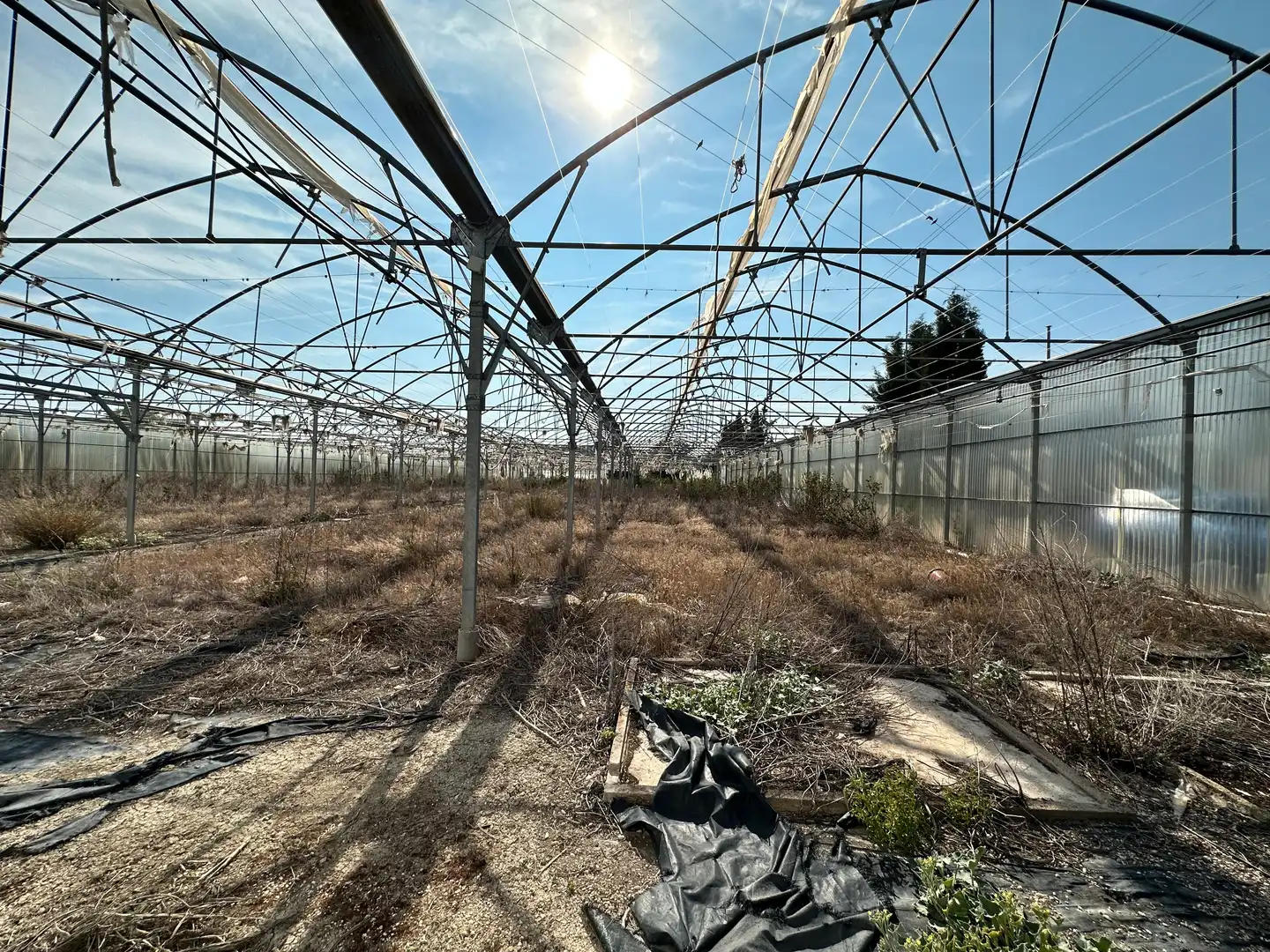 Terrenos y solares en venta en Úbeda, imagen 9