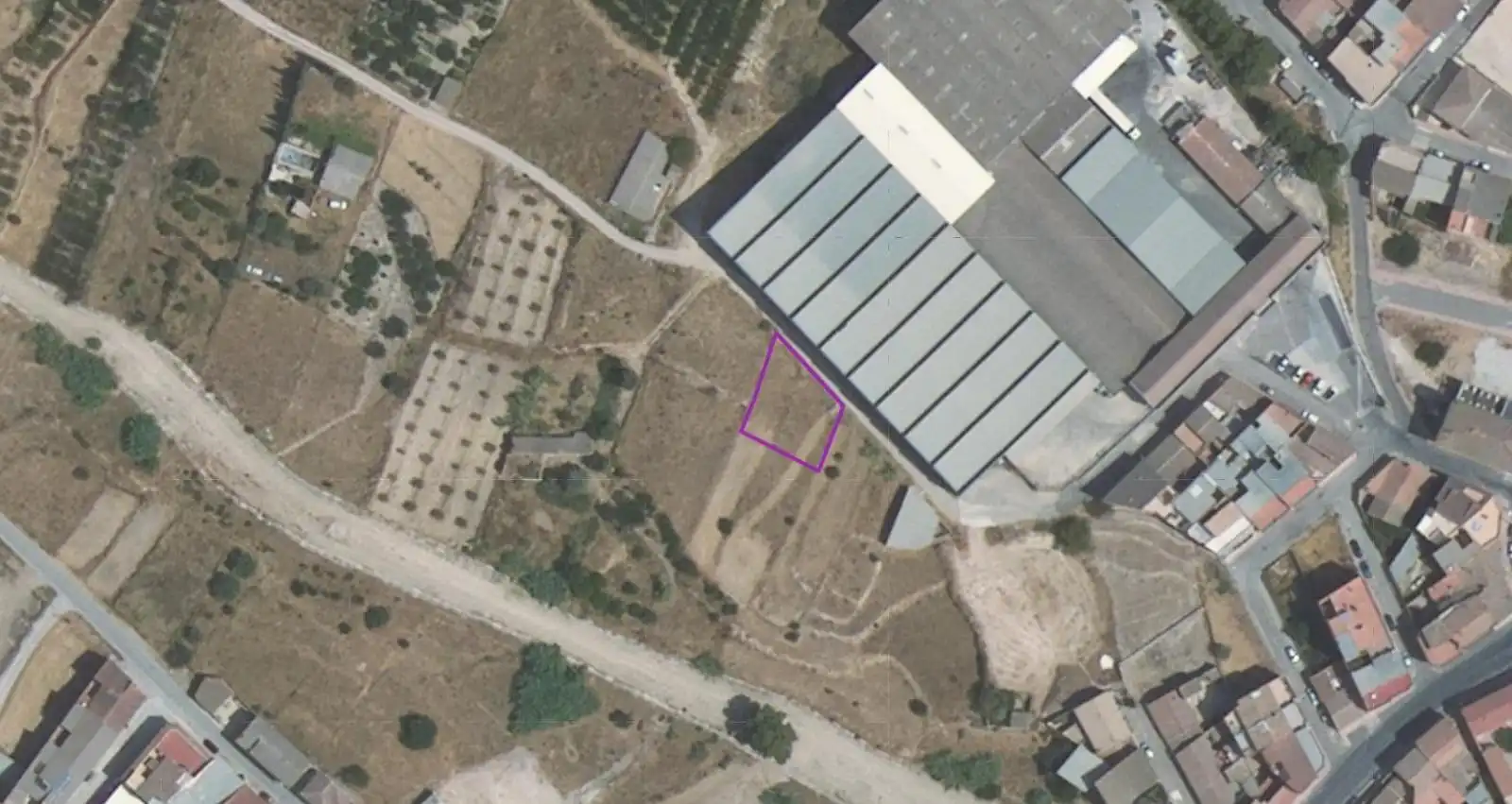 Terrenos y solares en venta en Pliego, imagen 2