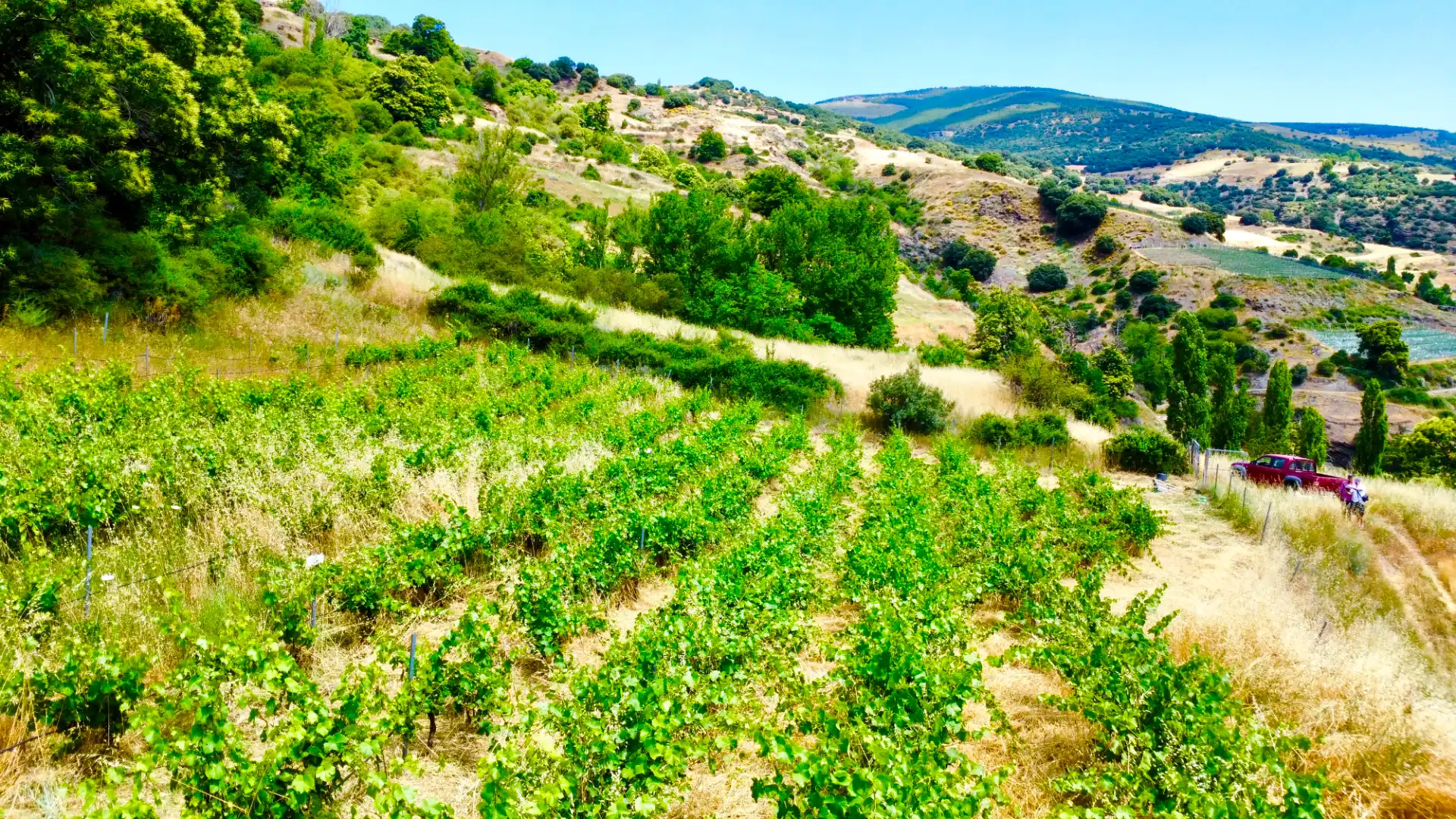 Terreni e lotti in vendita a Alpujarra de la Sierra, imagen 25
