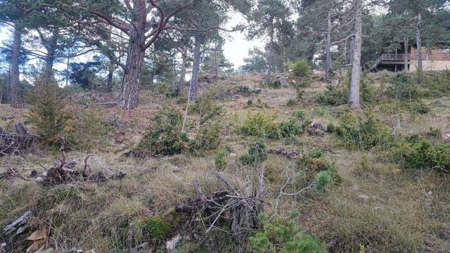 Terreno residencial en Venta en La Coma i la Pedra