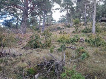 Residential land for sale in La Coma i la Pedra