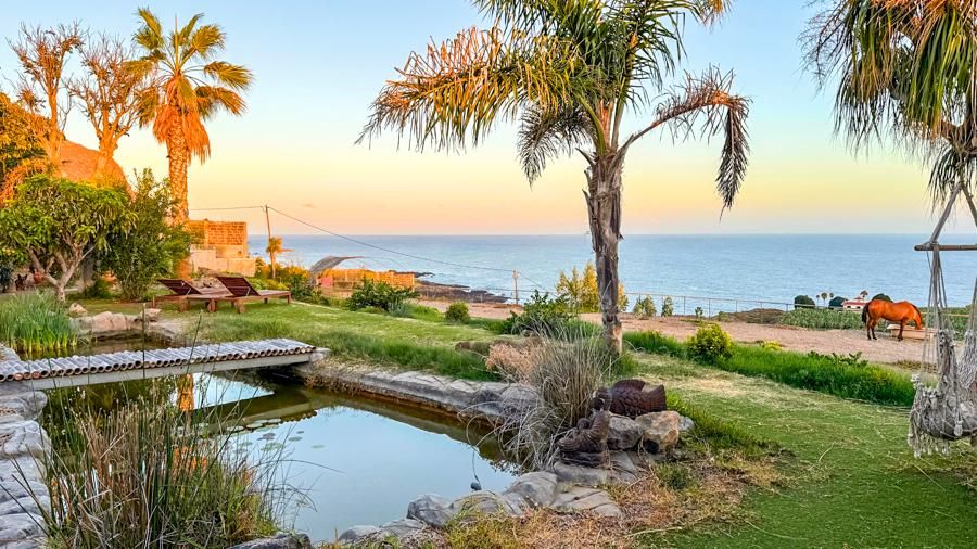 Jardí de Finca rústica en venda en Buenavista del Norte