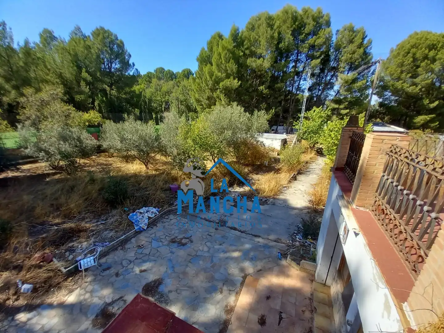 Jardí de Finca rústica en venda en Albacete amb Jardí privat, Terrassa i Traster