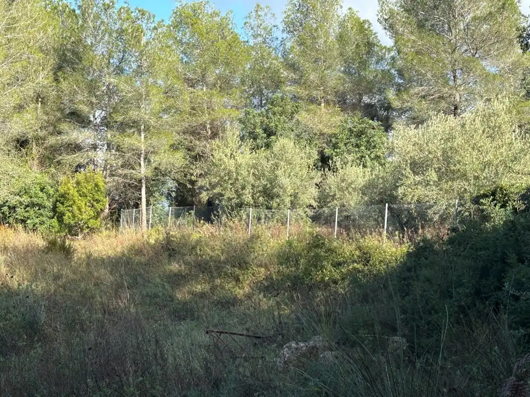 Rural land for sale in Partida Tancaes, imagen 27