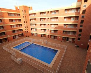 Piscina de Apartament en venda en Torrevieja amb Terrassa, Piscina i Moblat