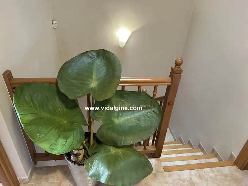 Casa o chalet en venta en Térmens con Calefacción, Jardín privado y Trastero