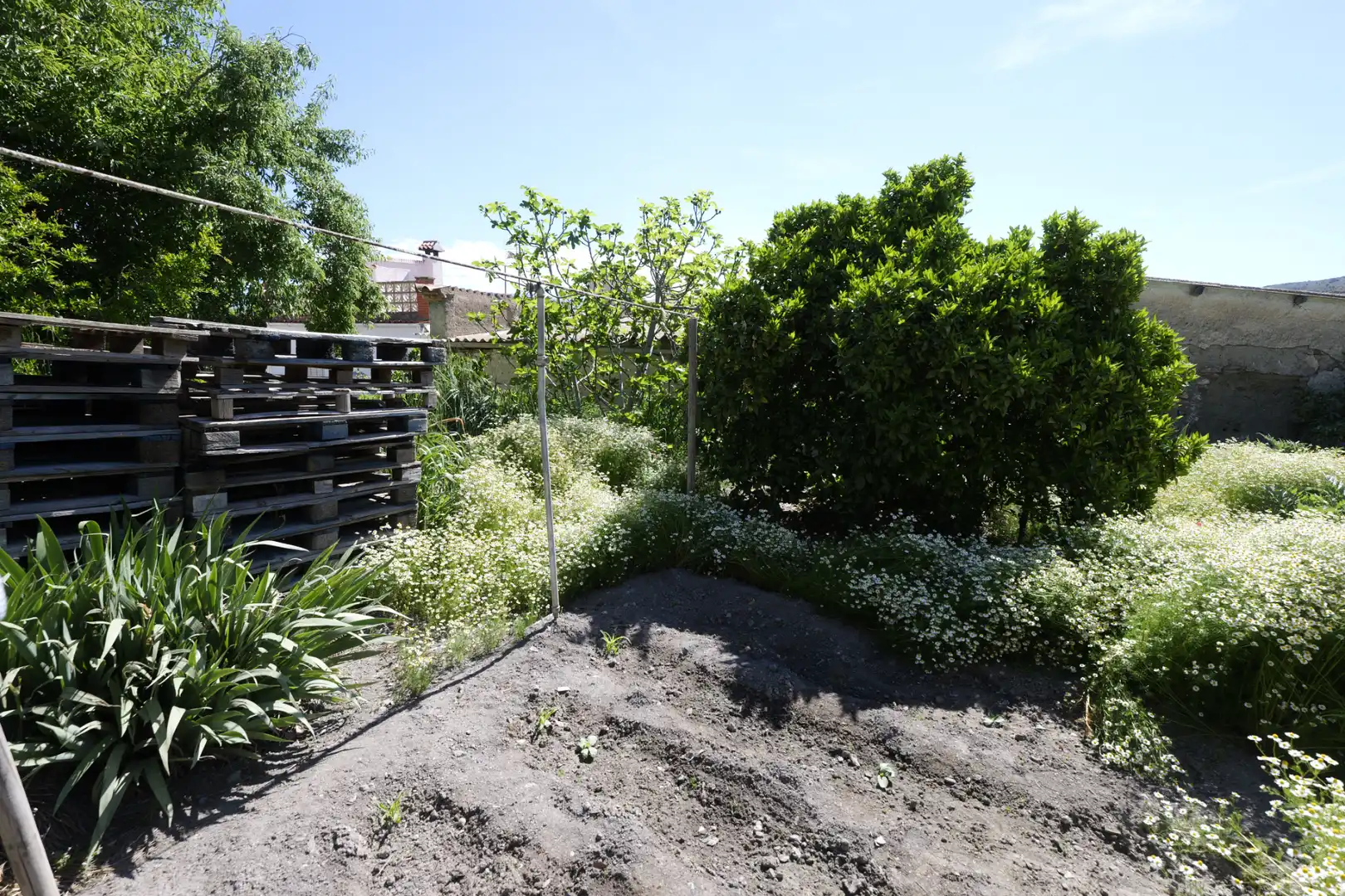 Jardín de Casa adosada en venta en Turón con Jardín privado