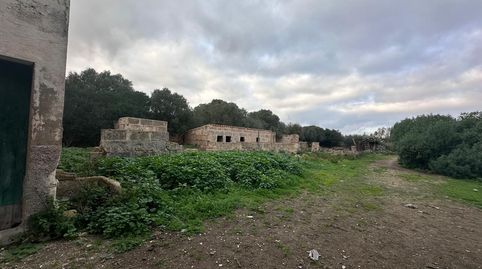 Gran parcela rústica en Son Sunyer., imatge 2
