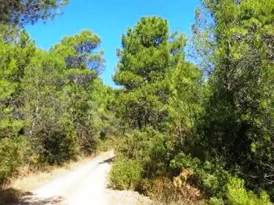 Terreni e lotti in vendita a Villanueva del Arzobispo, imagen 8