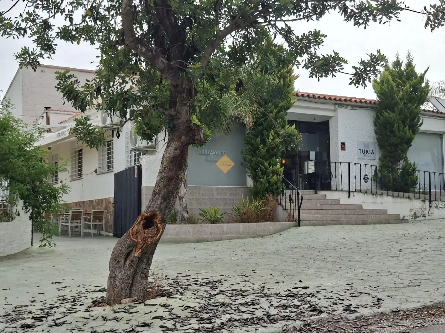 Terreno residenziale in vendita a La Conarda - Montesano, imagen 13