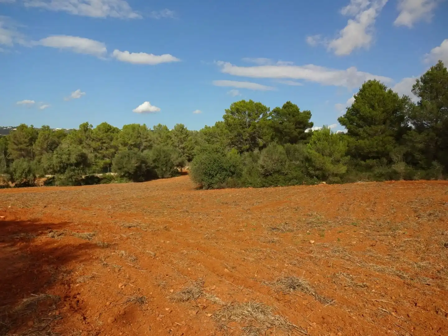 Finca rústica en venta en  Palma de Mallorca