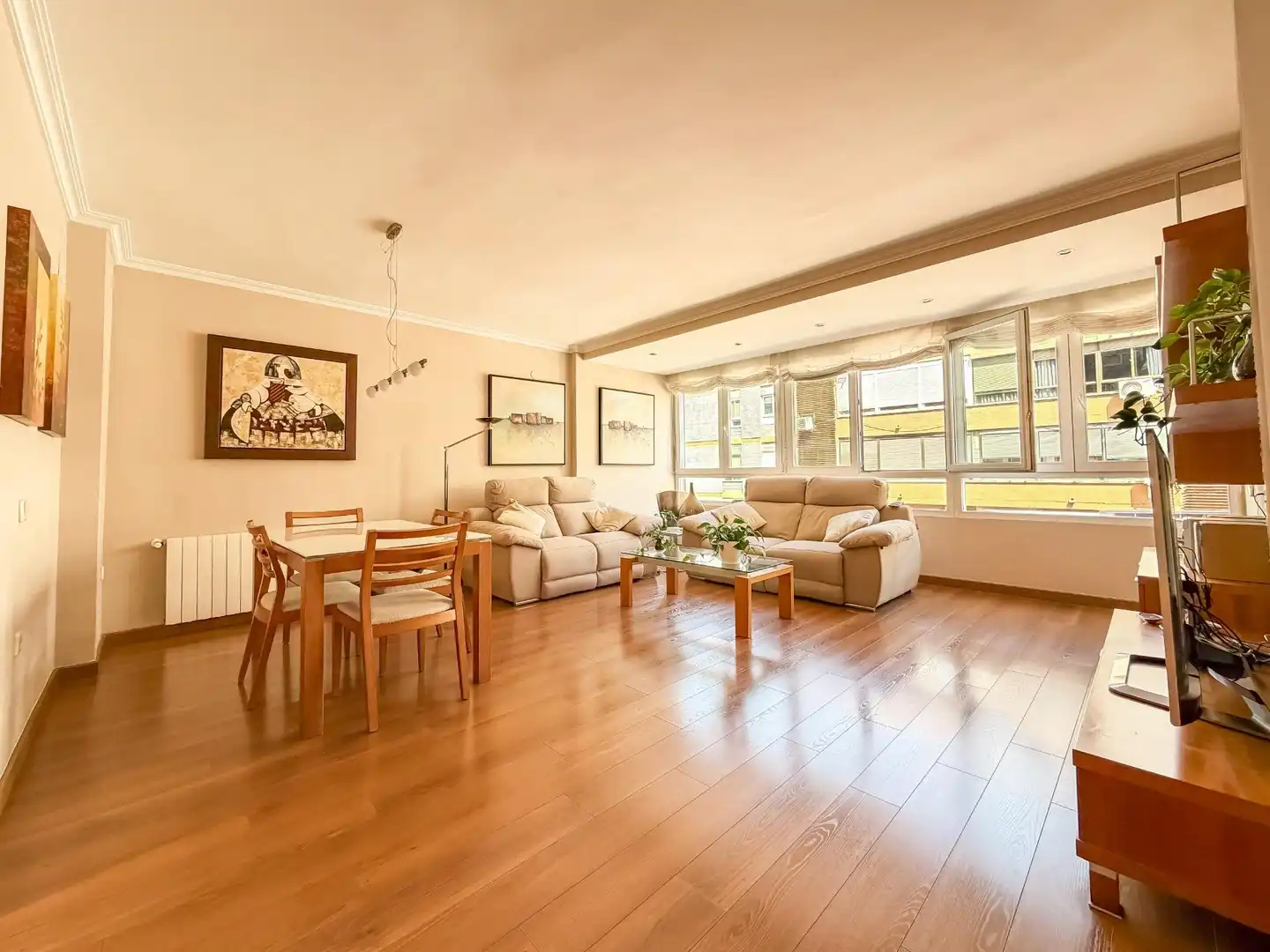 Sala de estar de Piso en venta en Valencia con Aire acondicionado y Calefacción