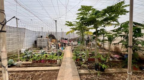 Foto 3 de Casa o xalet en venda a Garachico, Santa Cruz de Tenerife