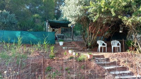 Finca en venta orcera(jaén), immagine 3