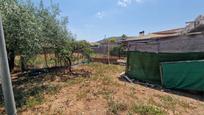 House or chalet for sale in L'Alcora  with Terrace and Storage room